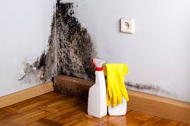 Best Mold Removal for HVAC Installations  in North Les, AK